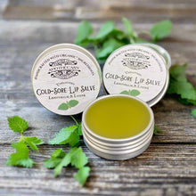 Load image into Gallery viewer, Healing Leaf Salves