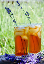 Load image into Gallery viewer, Healing Leaf ICED HERBAL TEAS