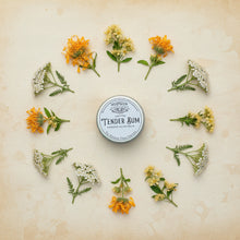 Load image into Gallery viewer, Tender Bum herbal salve with calendula and yarrow arranged around tin in flat lay