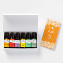 Load image into Gallery viewer, Plant Therapy Cleaning Set