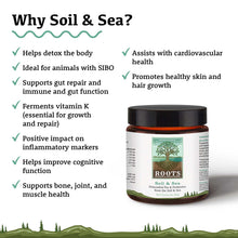 Load image into Gallery viewer, Adored Beast - ROOTS Soil & Sea Probiotics