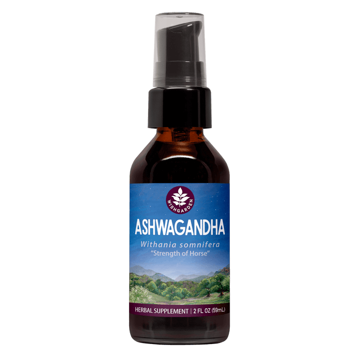 Ashwaganda SINGLE