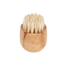 Load image into Gallery viewer, 2" Handheld Complexion Brush
