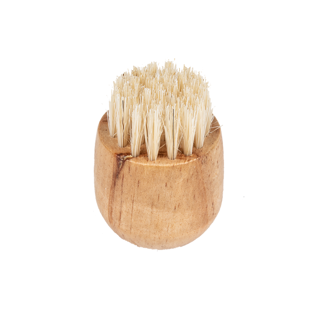 CEDAR 2