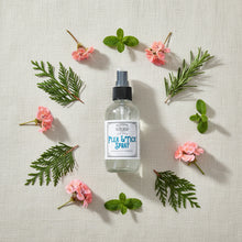 Load image into Gallery viewer, Flea &amp; Tick Spray
