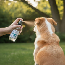 Load image into Gallery viewer, Flea &amp; Tick Spray
