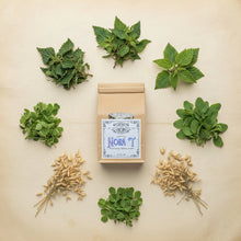 Load image into Gallery viewer, A kraft paper stand-up pouch of Classic Nora T Traditional Herbal Blend by Apothecary Shop, featuring a white label with blue and black text, set against a plain parchment background.
