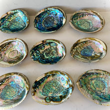 Load image into Gallery viewer, Abalone Smudge Bowls
