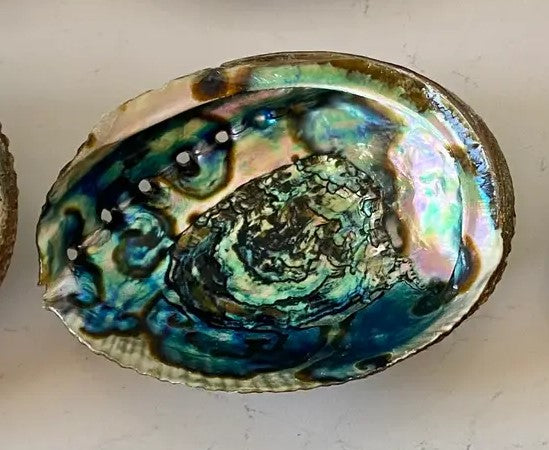 Abalone Smudge Bowls